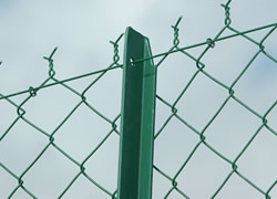 Chain link fence Chain link fence